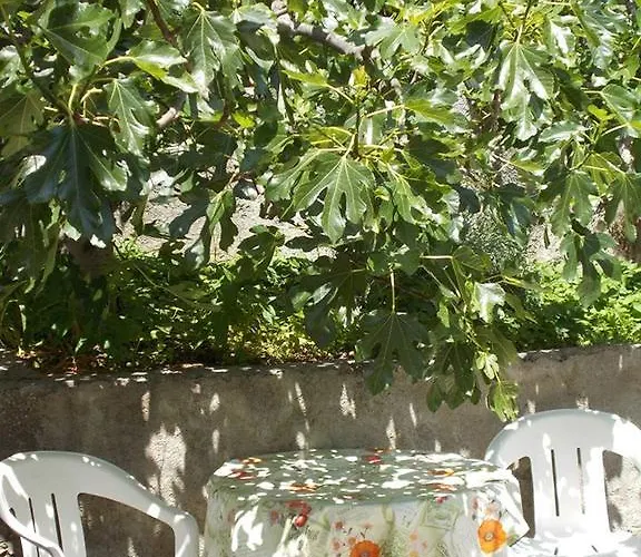 Lejlighed Spacious & Seaview Šibenik